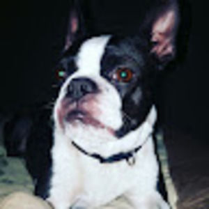 Meet your Posher, Veronica